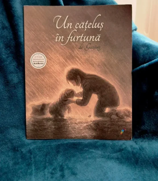book image